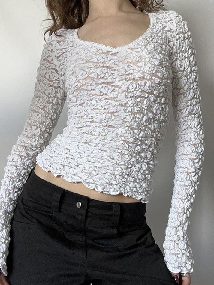 Lace Trim V Neck  Long Sleeve Crop Top