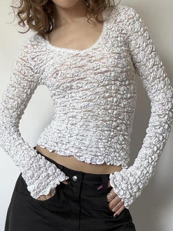 Lace Trim V Neck  Long Sleeve Crop Top