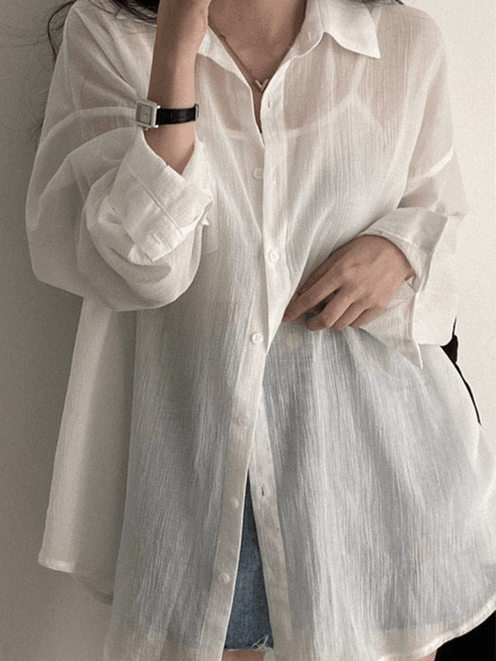 Lightweight Sheer Long Sleeve Blouse - AnotherChill