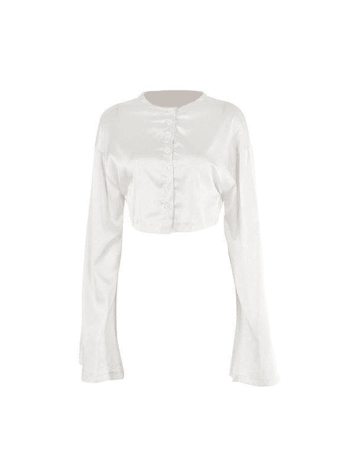 Satin Long Sleeve Buttoned Crop Blouse - AnotherChill